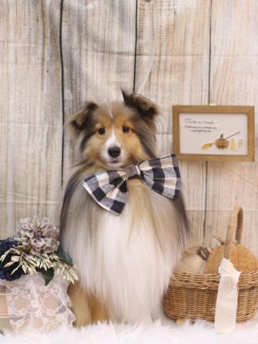 20241023ノアくん